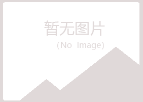 那坡县紫山化学有限公司